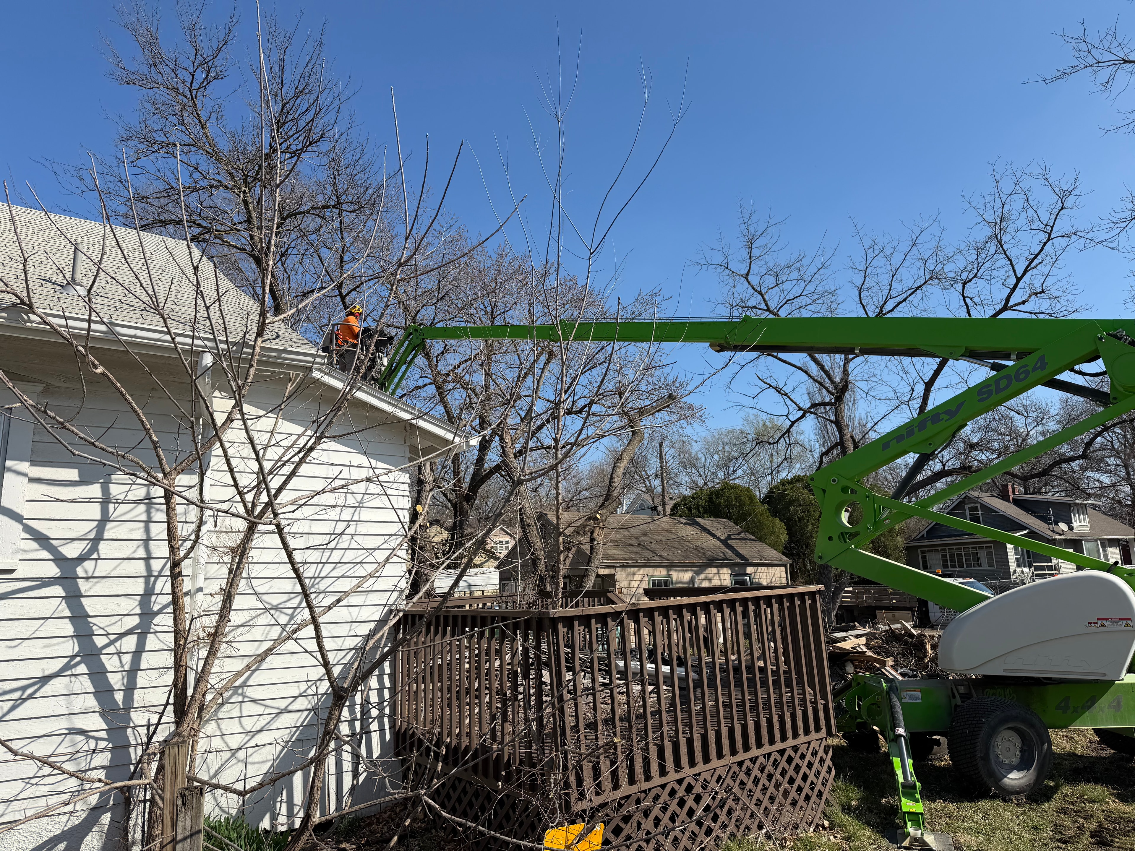 Demo phase — crane on site during tree removal and structural clearing