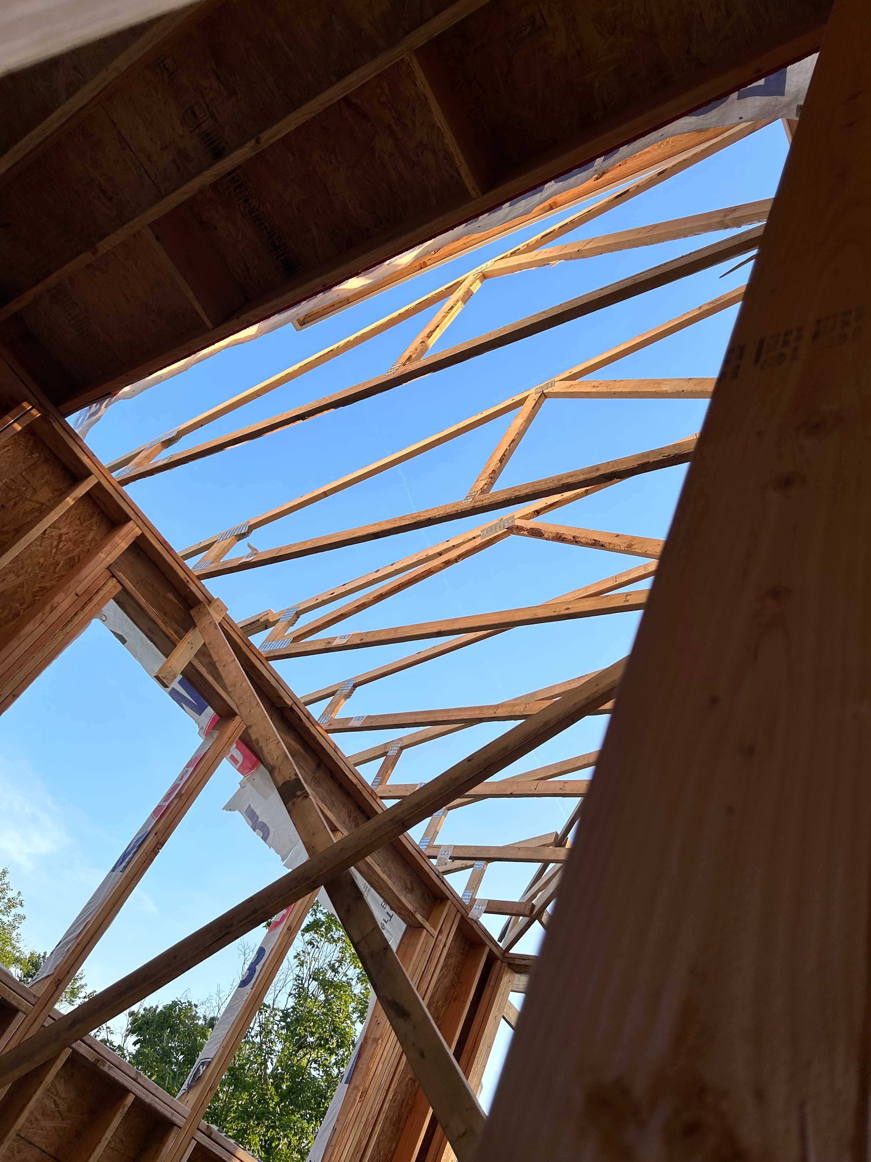 Looking straight up through the open roof framing — wooden trusses fanning out against a brilliant blue Kansas sky, 84 Lumber wrap visible on the walls, tree canopy peeking in from the right